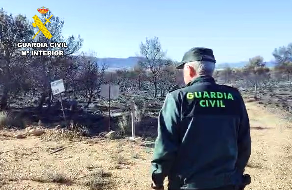 La Guardia Civil atribuye a una quema agr�cola el incendio que calcin� 429 hect�reas en Sierra Espu�a 
